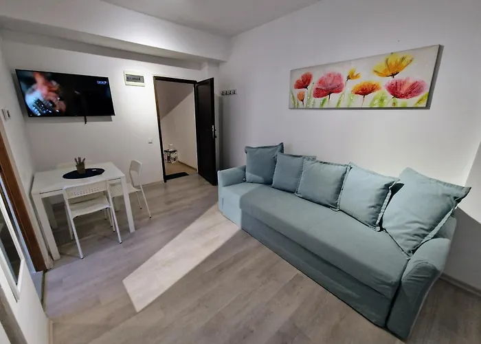 Apartment Main Square & Brasov