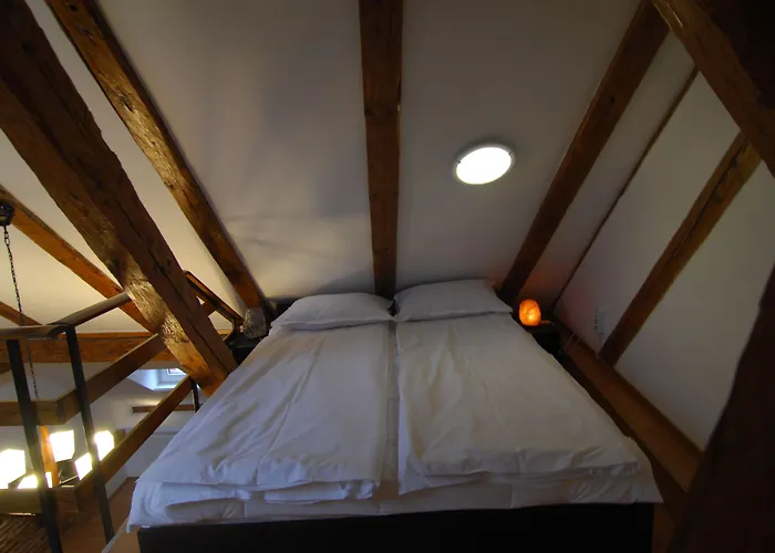 Apartment Main Square & Brasov